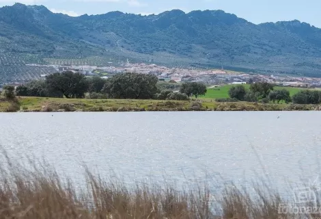 The Cabeza del Buey pond